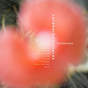 Coldharbourstores - Wilderness
