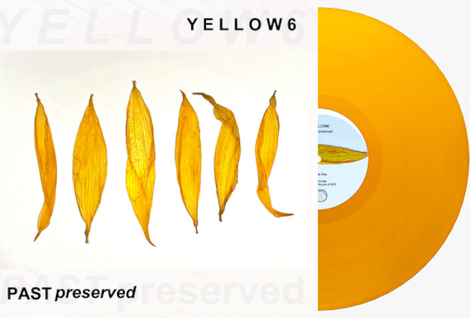 Yellow 6 – Past Preserved (CD/LP/T-Shirt)